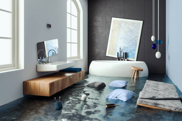 Best Mold removal after water damage  in Prunedale, CA