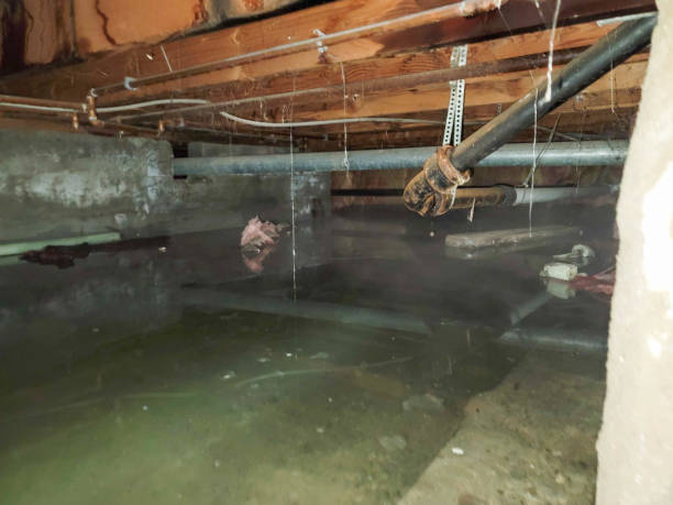 Best 24/7 water damage repair  in Prunedale, CA